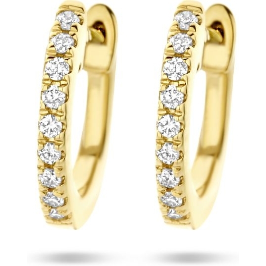 Treasure Collection 883046 14k gouden klapcreolen met 0,06 ct diamant