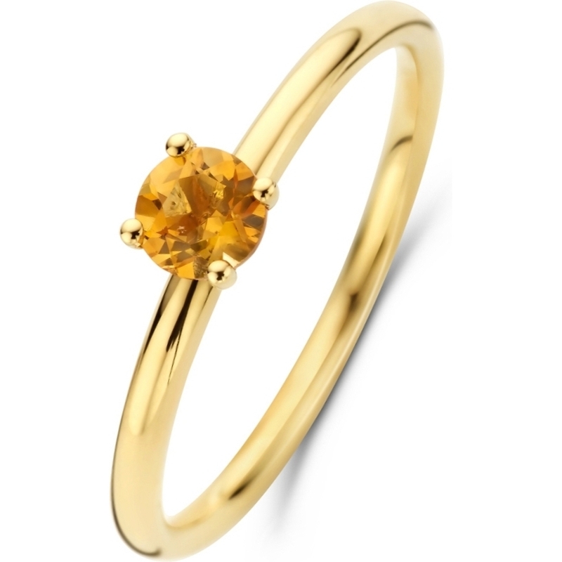 Treasure Collection R060 14k gouden ring met citrien