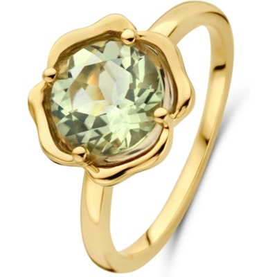 Treasure Collection THOJ2850 14k gouden ring met amethist