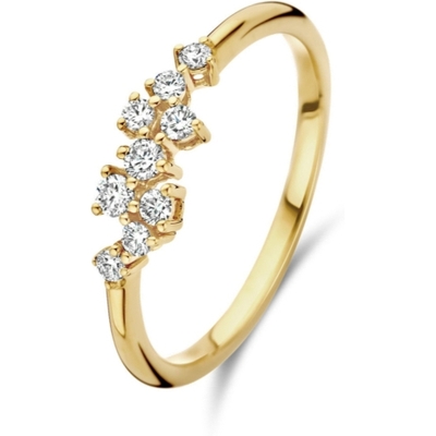 Treasure Collection THOJ2962 14k gouden ring met 0,21 ct diamant