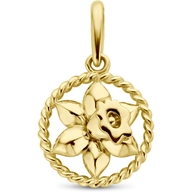 884112 14k gouden hanger met geboortebloem maart