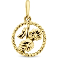hanger met geboortebloem 14K geelgoud
