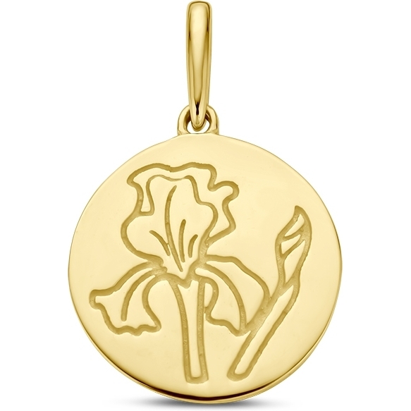 884088 14k gouden hanger met geboortebloem februari