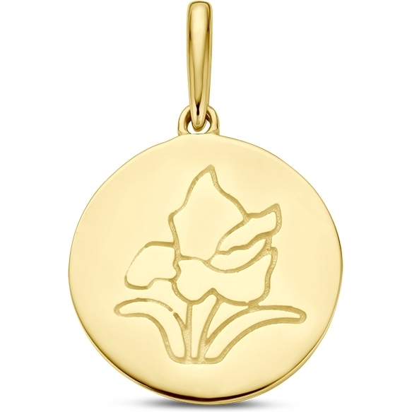 884102 14k gouden hanger met geboortebloem augustus