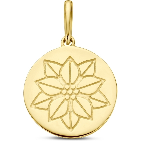 884106 14k gouden hanger met geboortebloem december