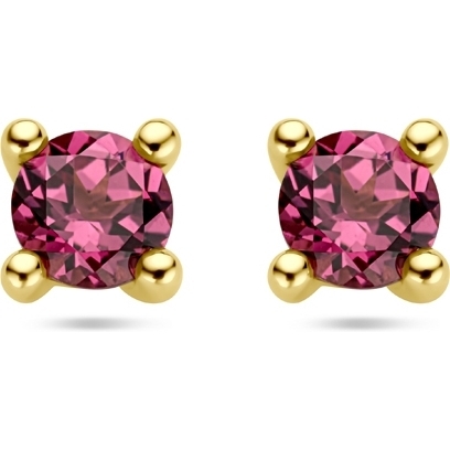 885874 14k gouden oorknopjes met roze rhodoliet 4 mm