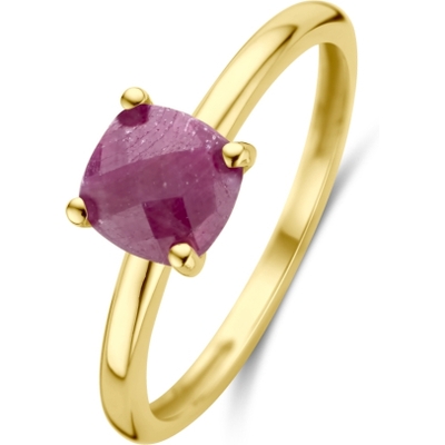 884472 14k gouden ring met rood robijn