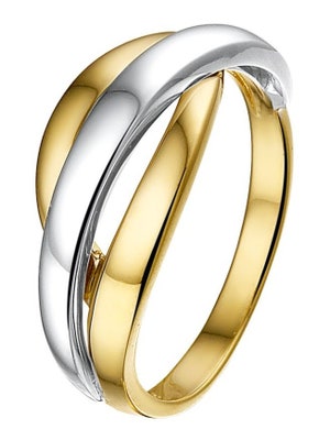 Treasure Collection TC-41855 14 karaat bicolor gouden ring