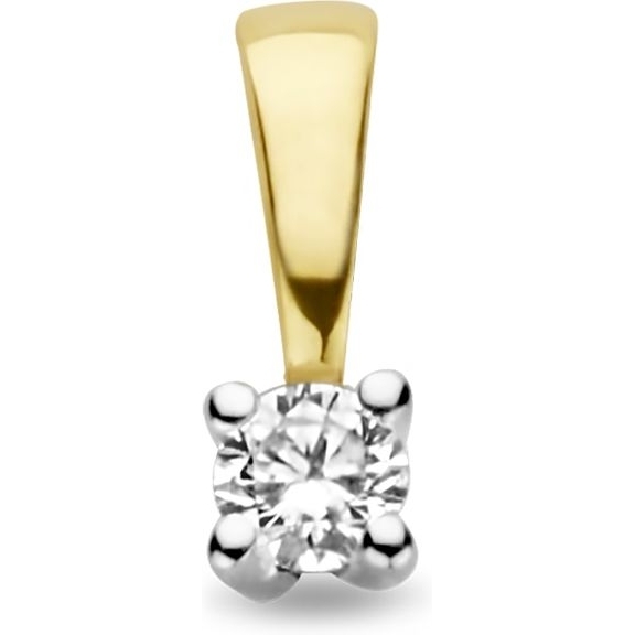 The House Of Jewels THOJ2349 14k gouden hanger met 0,05 ct diamant
