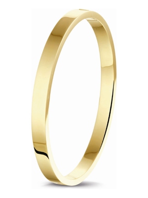 bangle scharnier massief vlakke buis 60 mm Silgold geel met zilverkern