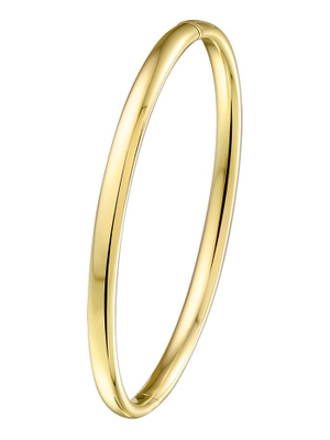 Treasure Collection TC-882142 14k gouden zilgold slavenarmband ovaal 3 mm