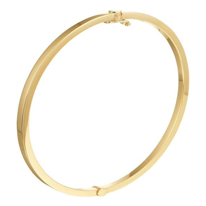 Treasure Collection TC-882137 14k gouden zilgold slavenarmband vlak 2,5 mm