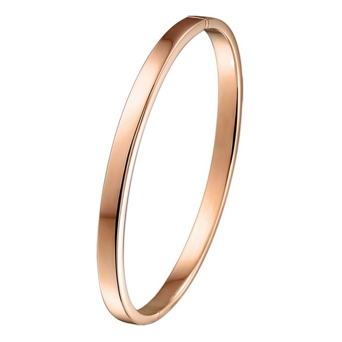 Treasure Collection TC-24706 14 karaat roségouden zilgold slavenarmband met zilveren kern 4 mm