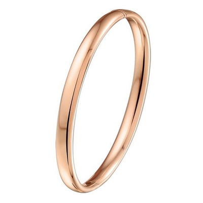 Treasure Collection TC-48845 14 karaat rosé-gouden zilgold slavenarmband met zilveren kern