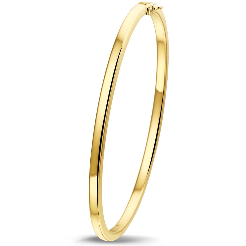 The House Of Jewels THOJ0934 14 karaat gouden slavenarmband vlakke buis 3 mm