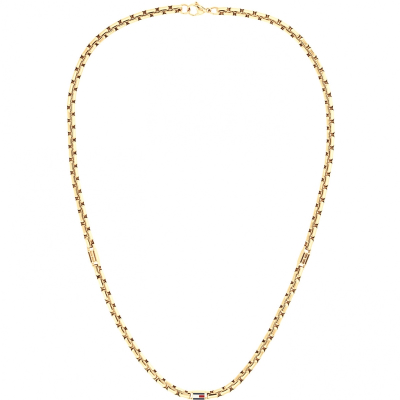 Tommy Hilfiger Jewels TJ2790673 Ketting Heren 3D Flag Gp 56cm