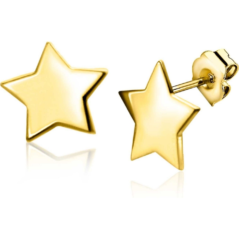 ZINZI ZGO315 14k gouden oorknopjes ster